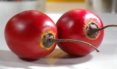 Tamarillo