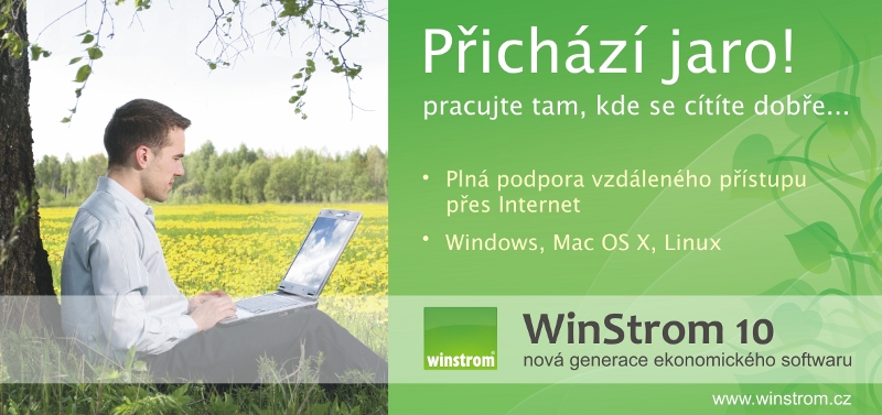 WinStrom 10 Online